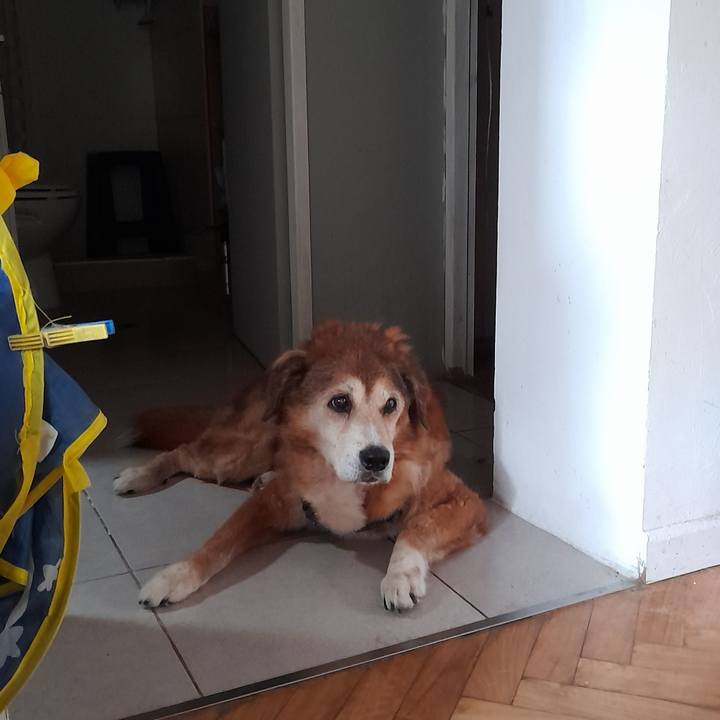 3d522cd4 8484 450e af2b 929c6c329239 1771417576104