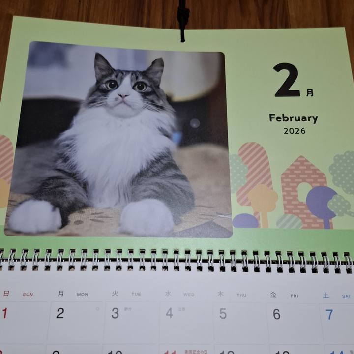 3d527df8 cfa8 4899 8415 fe21de2ec929 1770009955279