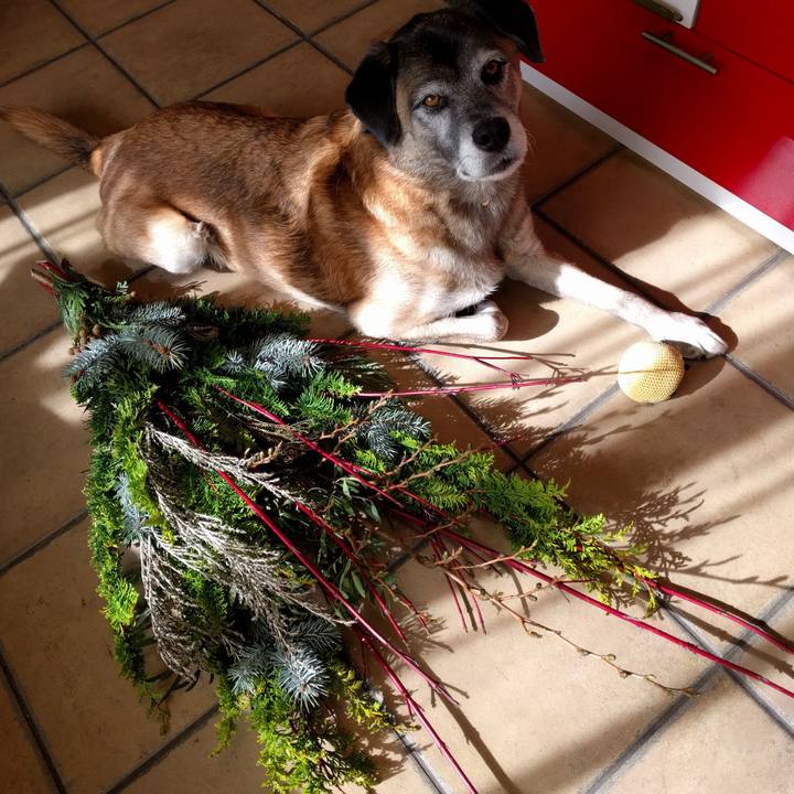 3d5291d5 156c 4d8c ad4d f9709c6fa6b7 1511667144022