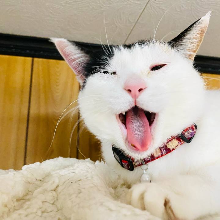 3d52d09a 6c65 4ec0 89e9 d24a3e208d7f 1679183758467