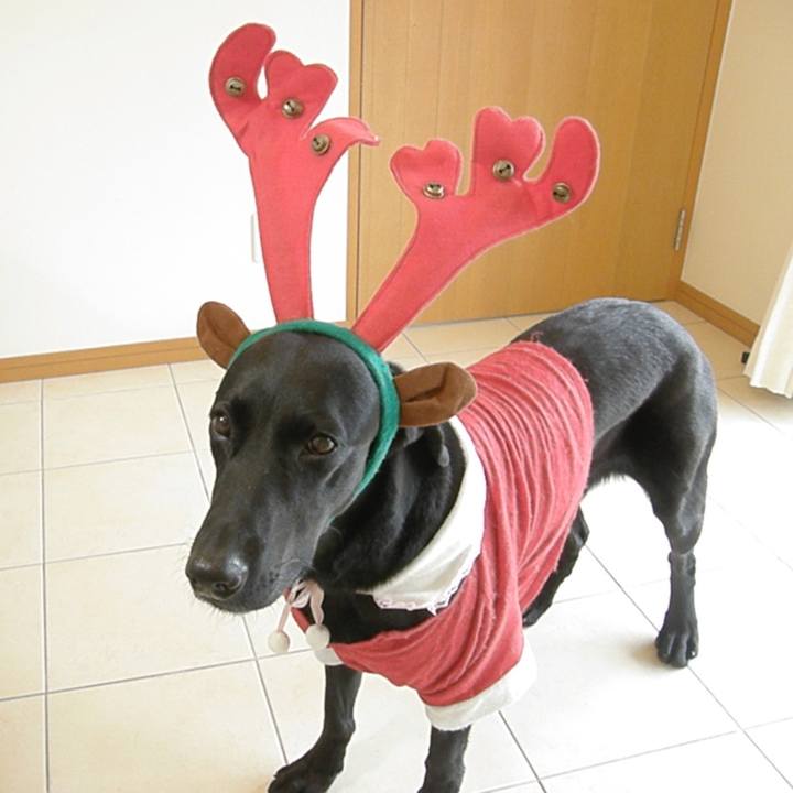 3d532934 719a 4f87 a2c6 f8fec7e71334 1514117092916