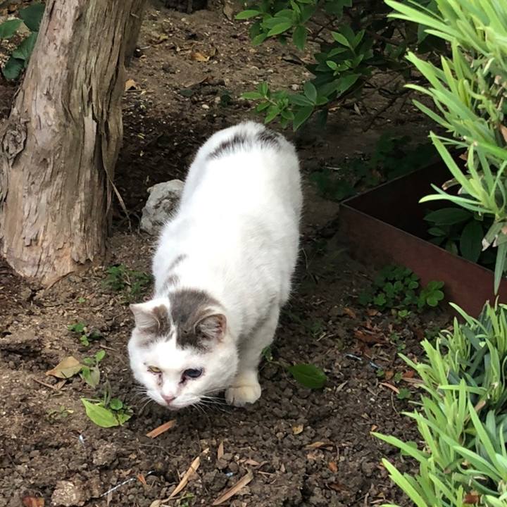 3d533110 bbfc 4231 b433 67df16999d8f 1558187966814