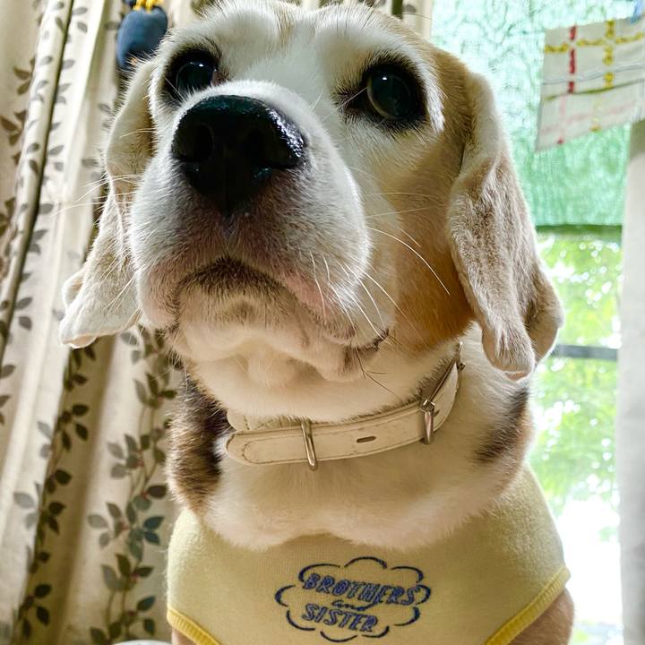 3d5359db b39a 4b8e a43c ee1c2fbdf324 1628826415449