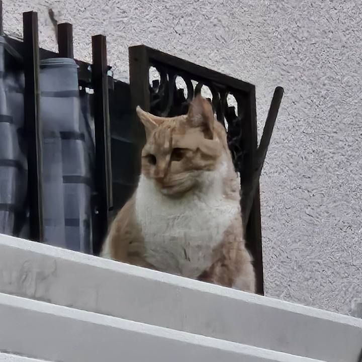 3d537551 a398 438d bacb ab2e7e31ab2e 1739097837297