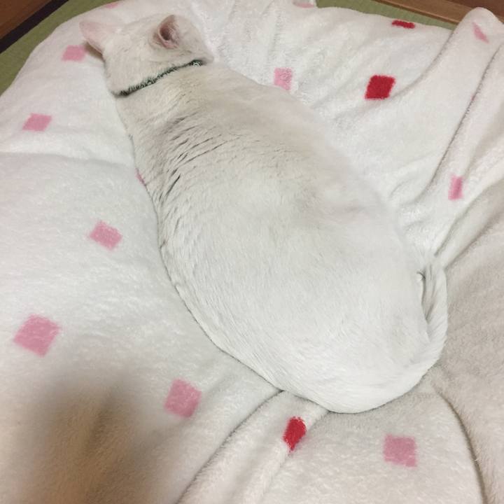 3d537753 a1da 4155 8b13 00bf5c28e7f8 1553172813666