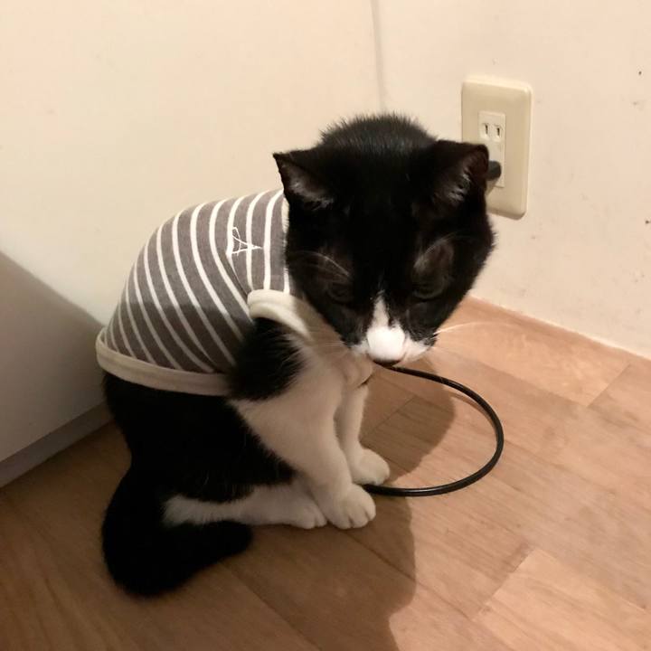 3d538298 ba73 4231 b631 c1164b5b5030 1538278753268