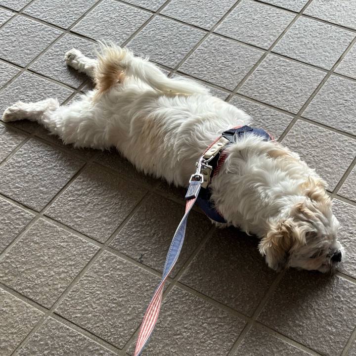 3d53839c d1c6 441c b315 b1dc3f3b25bd 1761169750602