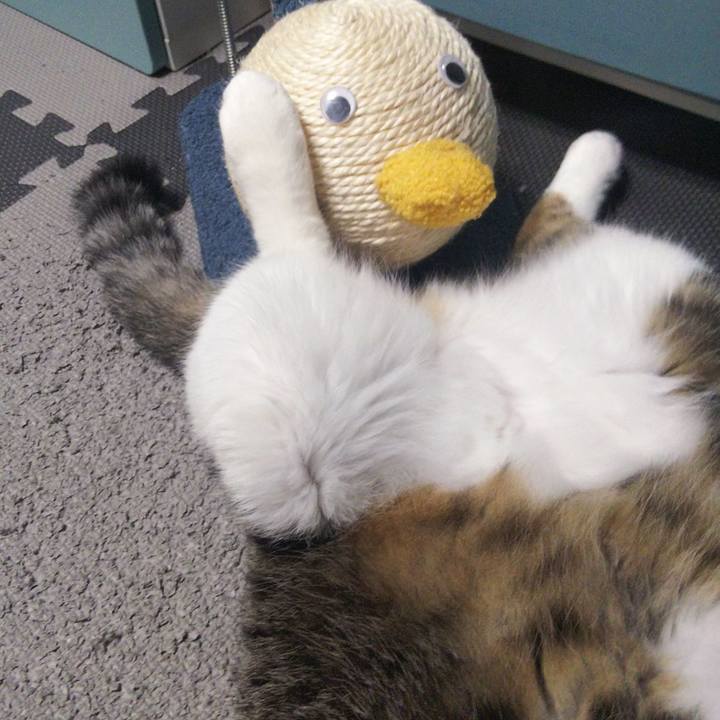 3d53aaf2 5a4c 461b 9841 39ee47ffb44b 1657454749713