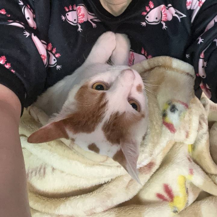 3d53bc20 2e89 4330 a6c5 5bba9f6bdbf2 1767466251376