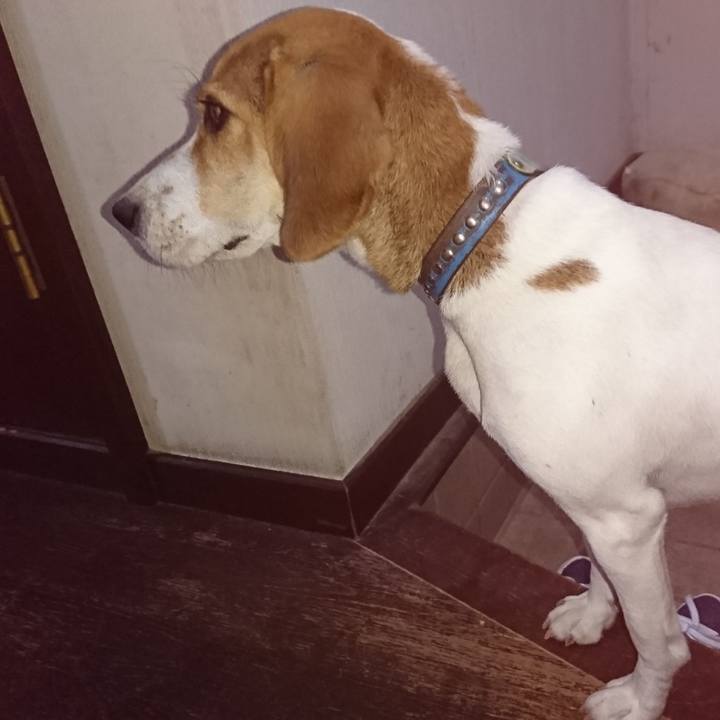 3d5401a5 a07d 4b48 9f78 09fba971f029 1574395923852