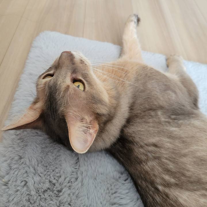 3d541124 f316 441f a802 a250f0e4f385 1671151040608