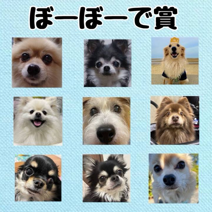 3d542e93 1a7d 4a8c a7b0 b7af4154b565 1738017397822