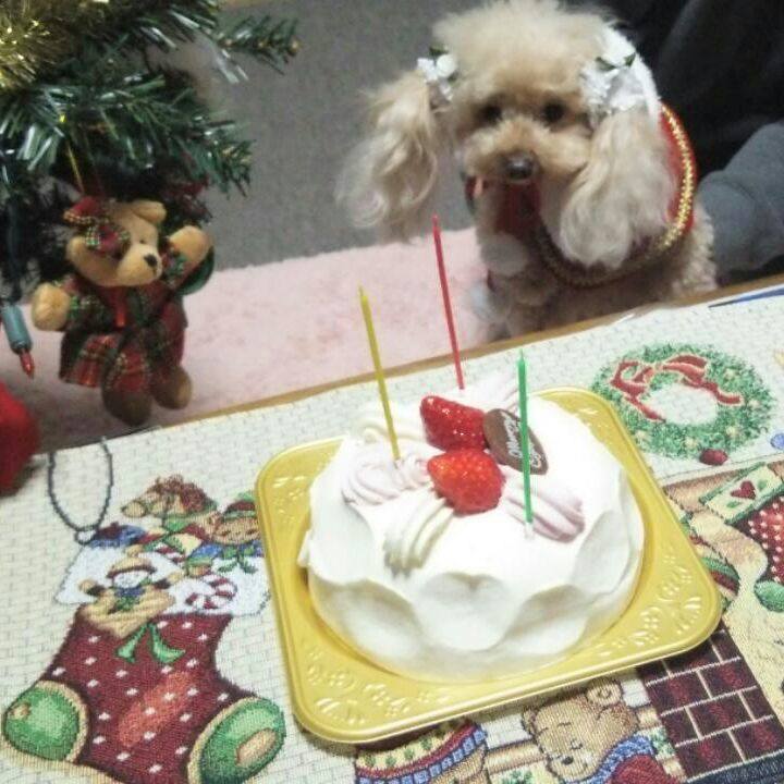 3d5445c9 1678 4f33 9afe 08926f6183b8 1545743225657