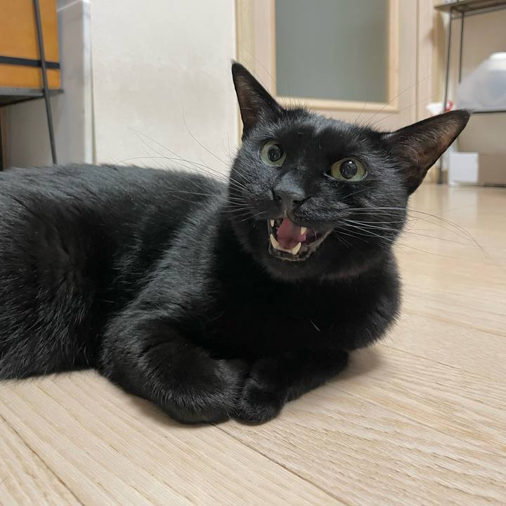 3d5465fc 308a 467c ad60 44e97f133335 1649074495271