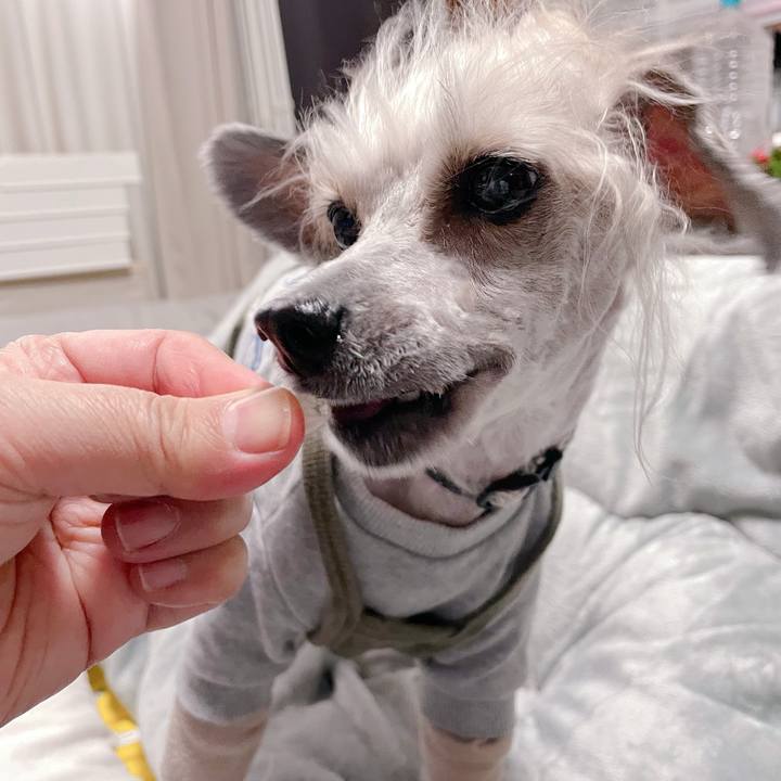 3d54c6f1 5af2 4859 a71b cf9be3eebde6 1765417496919