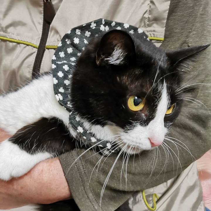 3d54e5f1 d9b1 4ecc a851 f376bf2de8a9 1649994850845