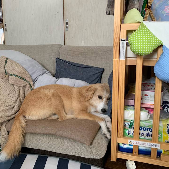 3d54fbb8 9e87 4fac 9e6c c6d2a211c8e6 1573521939267