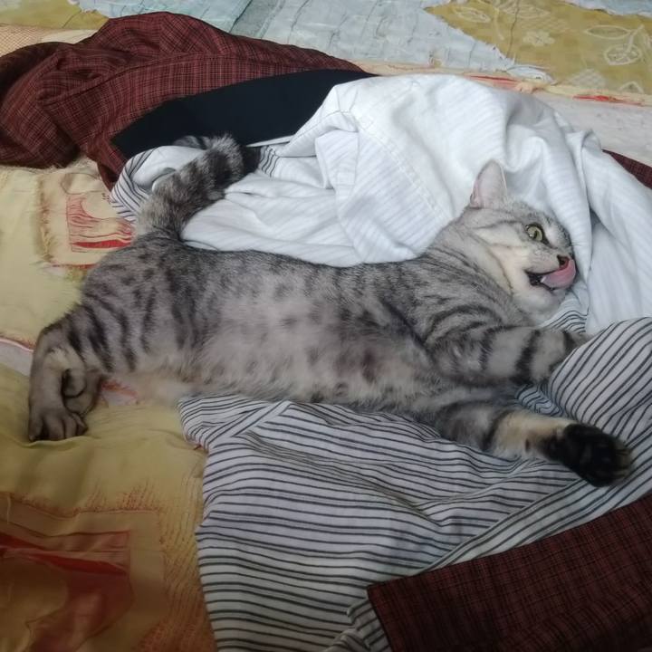 3d54fea3 afbc 4515 8ef9 9a696c8bcf08 1642220993369