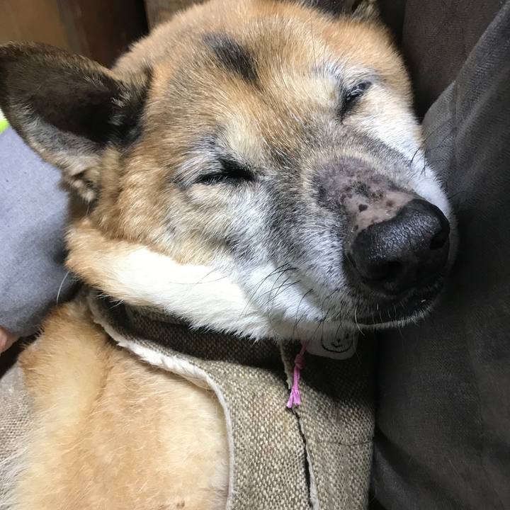 3d5533af 97b5 42d1 b618 a568ebbfe6cb 1550306106129