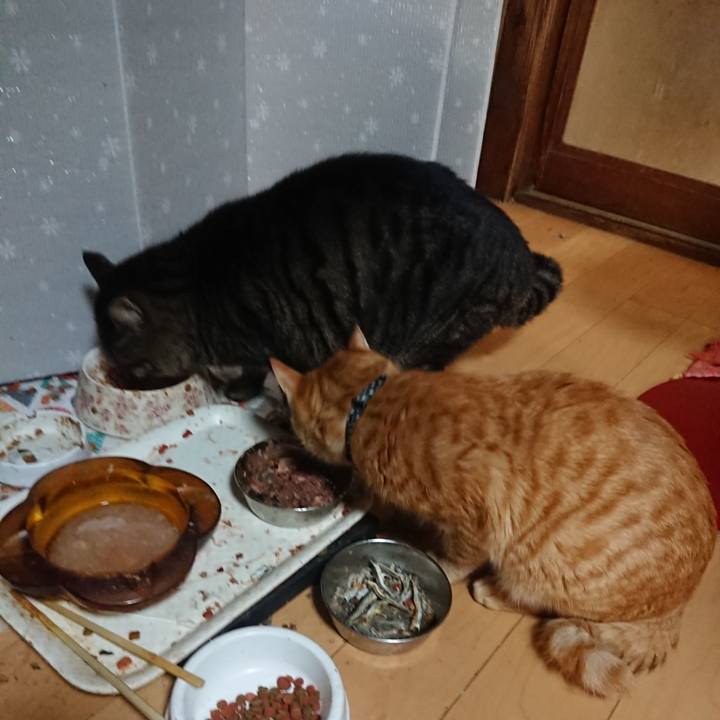 3d554f96 4f06 4014 8c31 1e9aa17d6af0 1640255713811