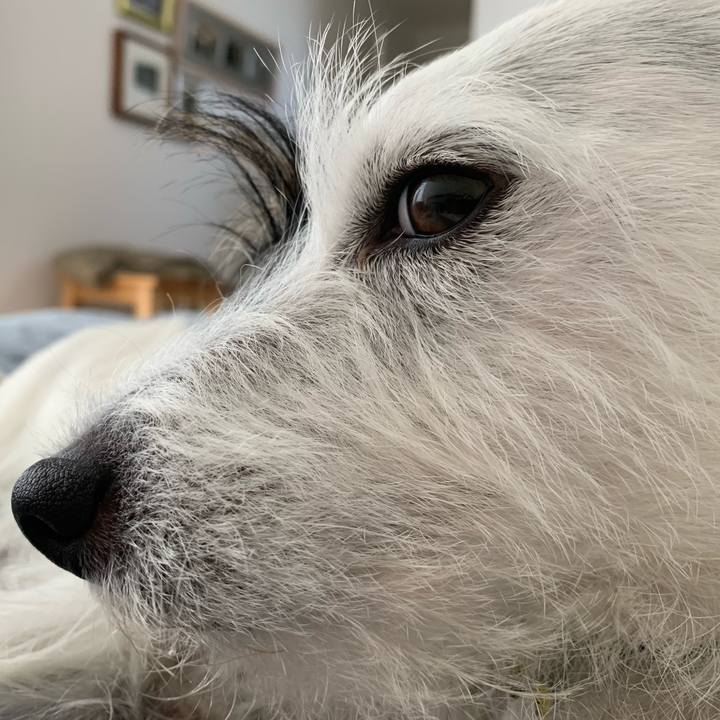 3d555812 0f98 4b9e bf87 0aca578cd3ae 1569381962066