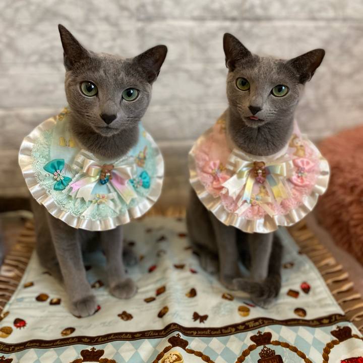 3d5593bd 23a9 4843 8ff0 5ebe4700abe1 1682231011132