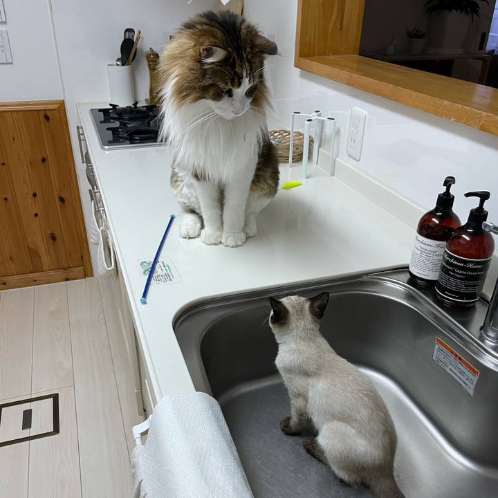 3d55f746 a760 44d0 b4f6 cf55dc3551ef 1691624057463