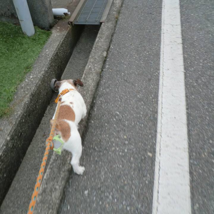 3d560959 78ce 48cf a234 c5e196d7861c 1562756032185