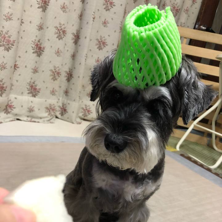 3d564848 1762 4591 8b72 ba8fc7a53e0b 1661603094100