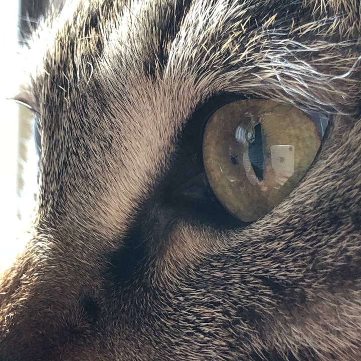 3d564976 9aa1 454c 96c1 13bd83c8d04b 1519442831231