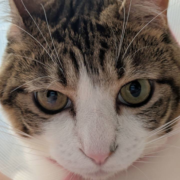 3d565d44 bd9f 49dc a38f 206ea1421134 1757227988289