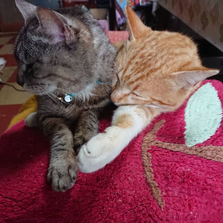 3d568819 b792 4f8d 8ddc 86f43f6129d6 1556342782285