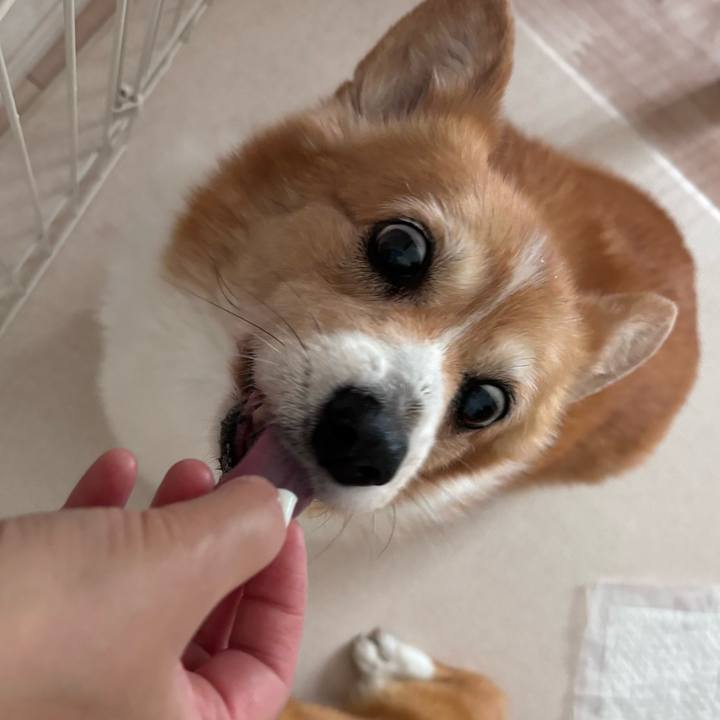 3d569039 674a 486f bdaa a0c0ee6cf395 1750836340558