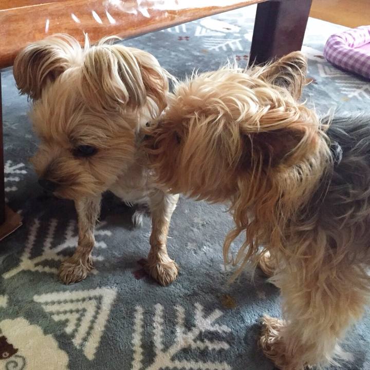 3d56a579 fd7c 465a 988b a70bf276e46d 1532399175333