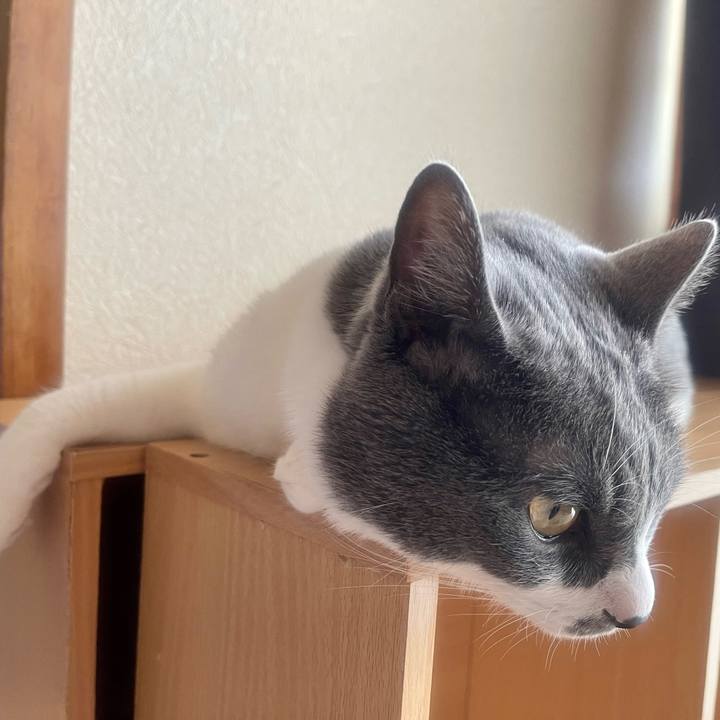 3d56a619 0e77 4b72 b40b 3cc1bc10f4f4 1656116040042