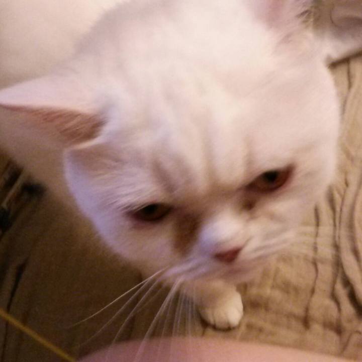 3d56b853 2e0d 4a59 8ffa 4221de7fdfde 1531696050215