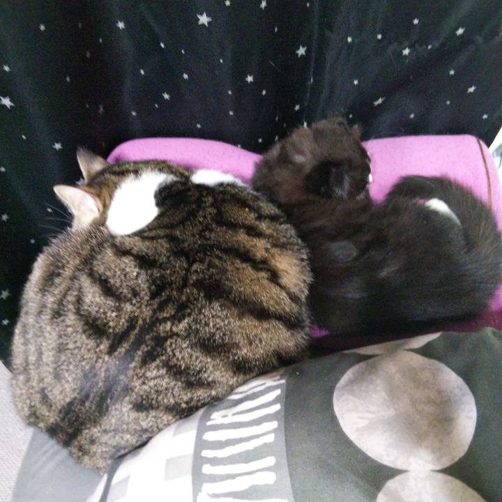 3d56c36b 2d06 441f 95d2 356d7b6fca2a 1639917685124