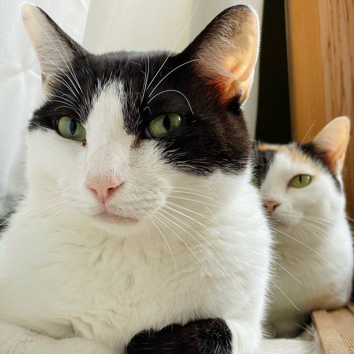 3d56d14d eb3c 42aa a6d1 1f54ea13f230 1635301117048