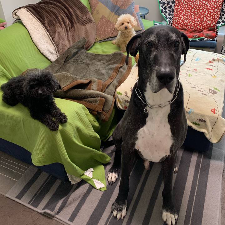 3d56d38b a2ec 43d6 9872 2adeb7a163af 1553812354074