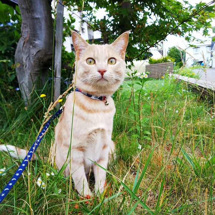 3d56ef3a 2ac0 4811 8a3b 5344878564fb 1562987957730