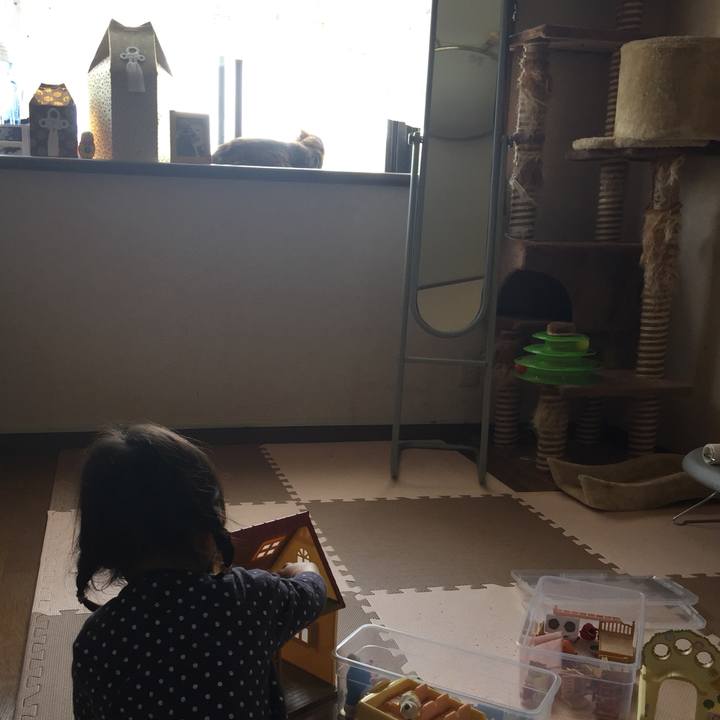 3d570a19 db05 449b a4df 0e93cb3f406a 1559442091981