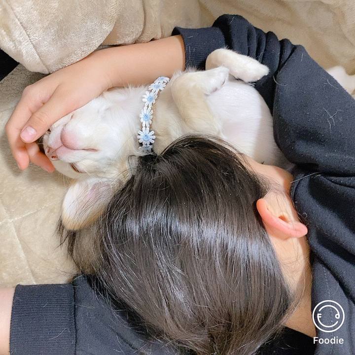 3d572435 088f 4121 8a10 1a59bfcf7d50 1605251722947