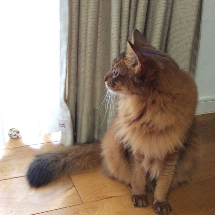 3d57278f 4456 40ba 8b93 e505d378d9c7 1600997719368