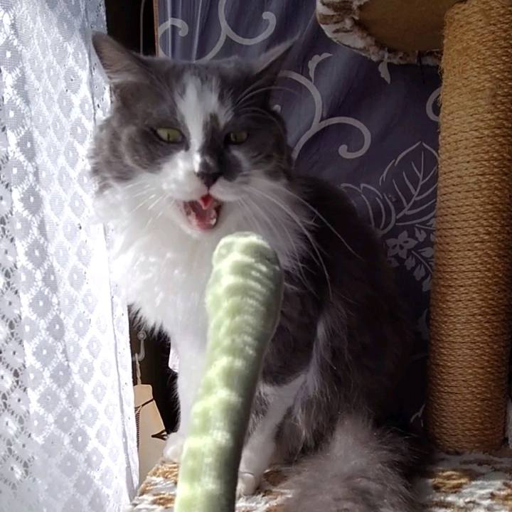 3d57494d 7736 4800 a3d2 c74aa97ef630 1761621483462