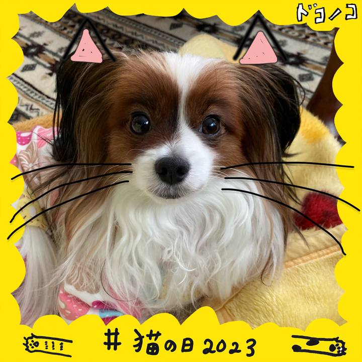 3d575367 0de9 47fc bacf ffd4218cad3f 1677048916853