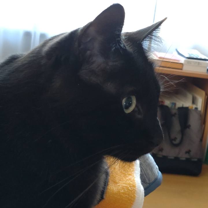 3d575664 36b9 454d 99e6 fb7bb5d16e07 1666234813091