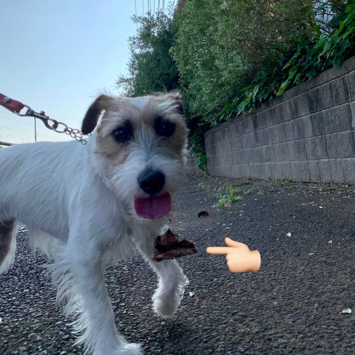 3d5761f1 3a41 4fb3 89bf 6a6ce66863e0 1621902762296