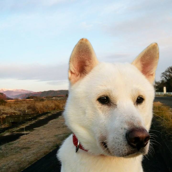 3d578451 2983 4426 b3db 988fa64cd1d0 1576447724694