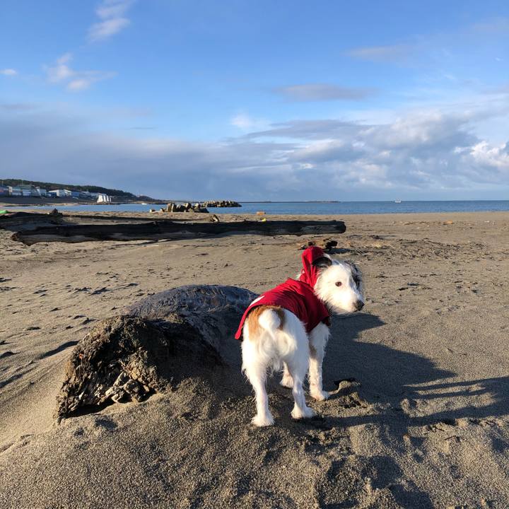 3d578ce6 6758 4fa1 ad24 1b9fa79955b4 1607211671026