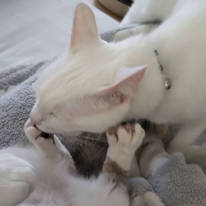 3d57a726 92d3 4caf 9e57 9db47260c4b8 1639191134254